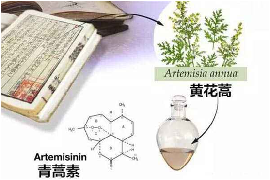 MILAN米兰体育·（中国）官方网站,：向中医药看齐，与世界共享中医药文化(图1)